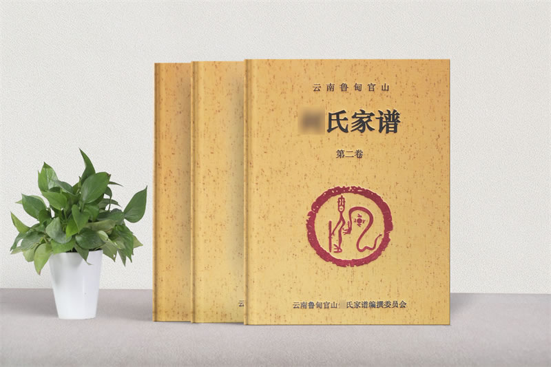 張氏家譜族譜排版設(shè)計(jì)-家譜修繕印刷制作樣本