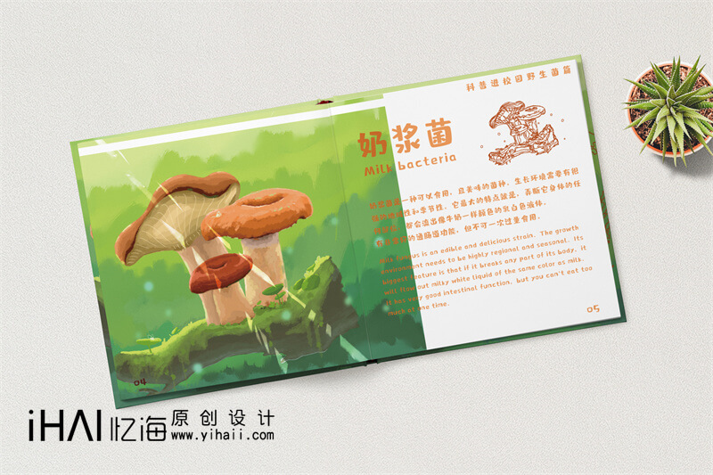 野生菌科普宣傳畫冊設(shè)計定制