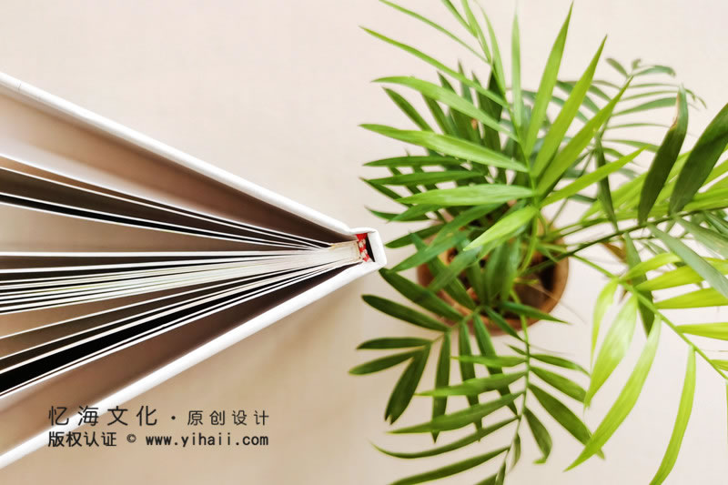 昆明憶海文化-大學(xué)聚會(huì)紀(jì)念冊(cè)設(shè)計(jì)