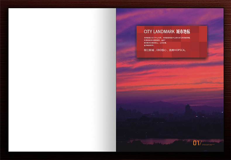 【高端樓書設(shè)計制作】售樓處房地產(chǎn)宣傳畫冊怎么做高檔簡約大氣!