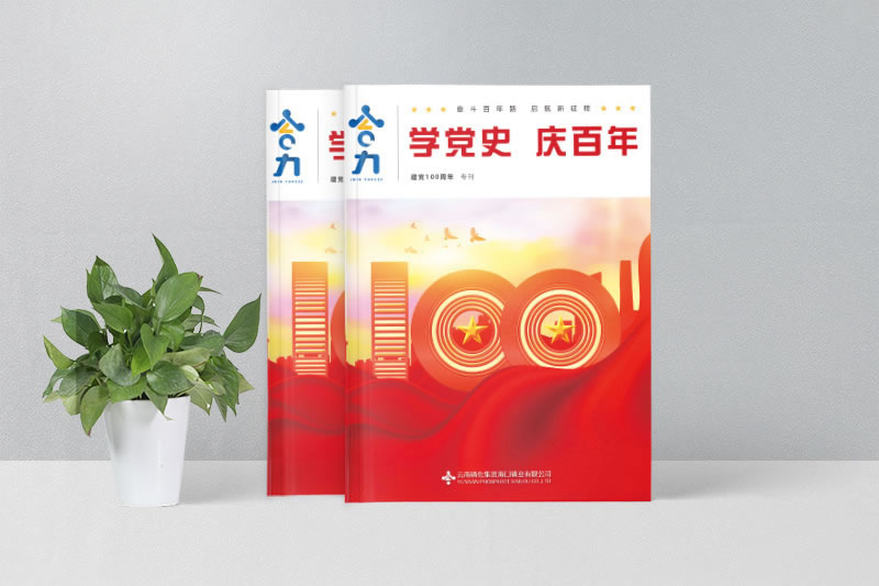 ?？诹谆瘧c黨100周年企業(yè)期刊畫(huà)冊(cè)