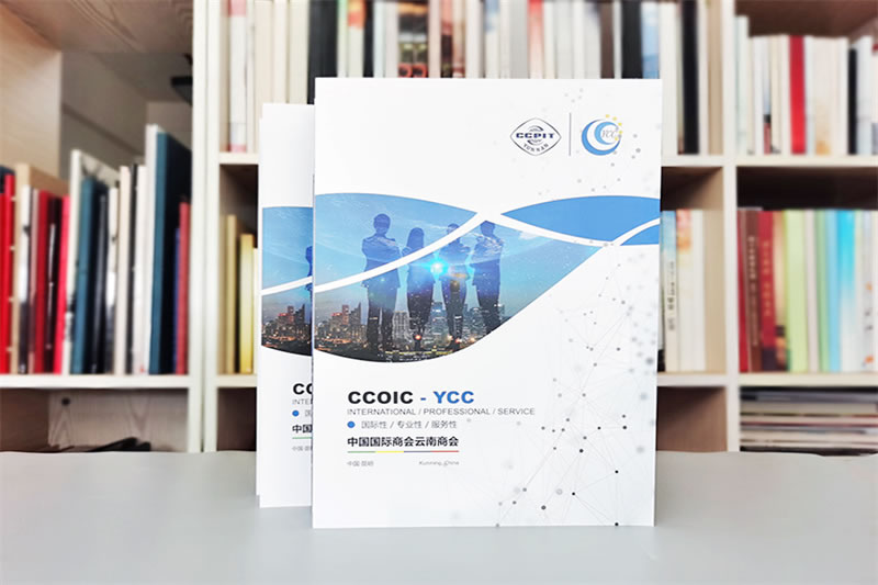 教育培訓機構招生宣傳畫冊設計-吸引潛在學員的創(chuàng)意設計方案