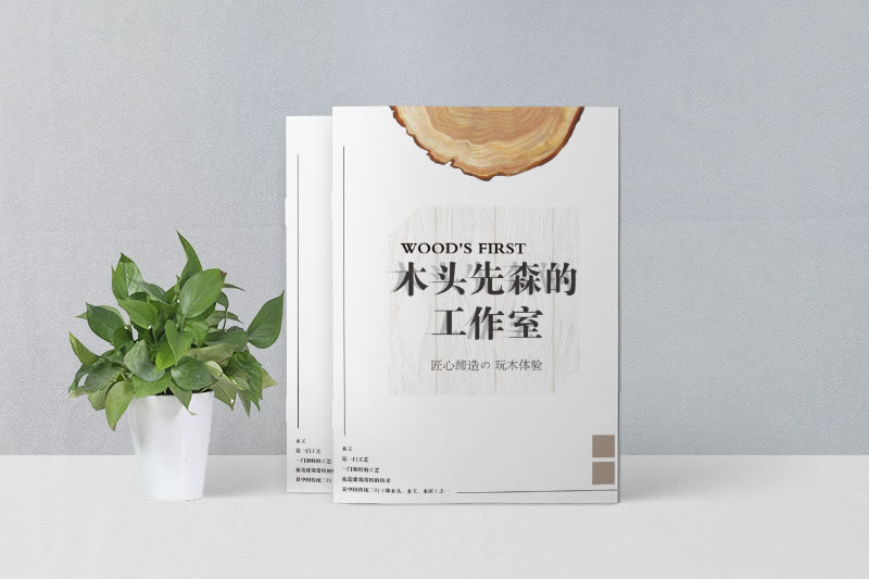 木業(yè)雕刻宣傳畫(huà)冊(cè)設(shè)計(jì)一工作室畫(huà)冊(cè)制作