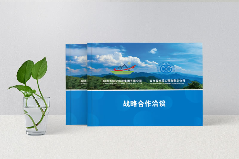 戰(zhàn)略合作洽談畫(huà)冊(cè)制作-商業(yè)合作畫(huà)冊(cè)設(shè)計(jì)