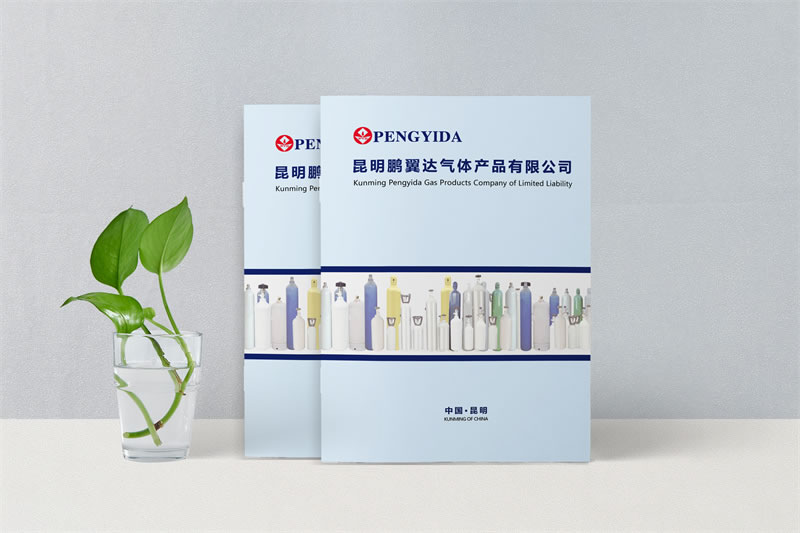 企業(yè)宣傳畫冊設(shè)計-昆明氣體公司畫冊制作