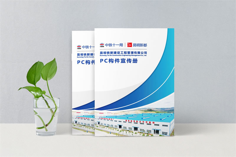 公司產(chǎn)品宣傳畫冊設(shè)計-精準定位與創(chuàng)意并重的品牌傳播利器