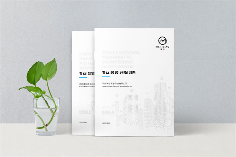 設(shè)計高效產(chǎn)品畫冊，打造企業(yè)品牌新高度