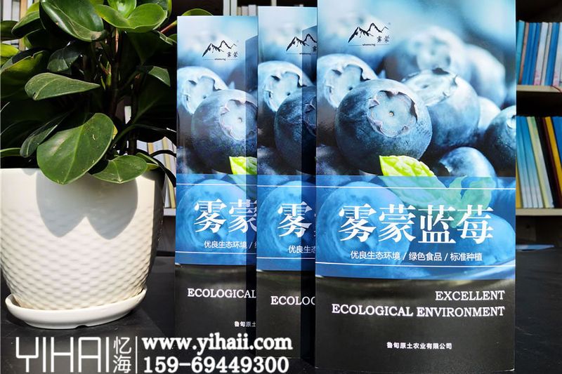 農(nóng)產(chǎn)品宣傳折頁設計-農(nóng)副產(chǎn)品宣傳三折頁制作
