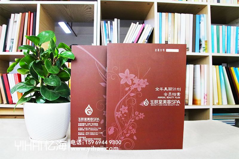 企業(yè)檔案畫冊設(shè)計制作-昆明公司畫冊設(shè)計制作