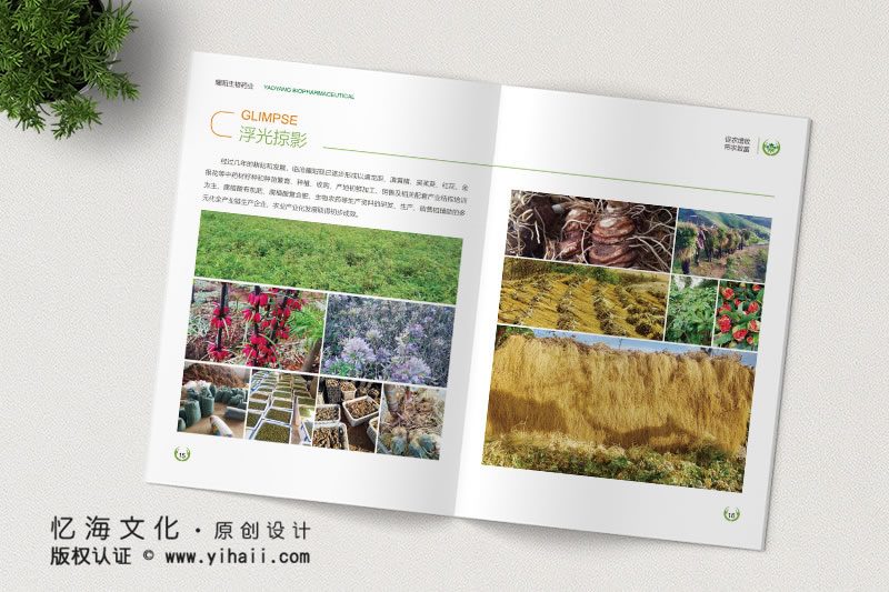 昆明憶海文化-企業(yè)畫冊(cè)定制設(shè)計(jì)-臨滄生物科技畫冊(cè)制作