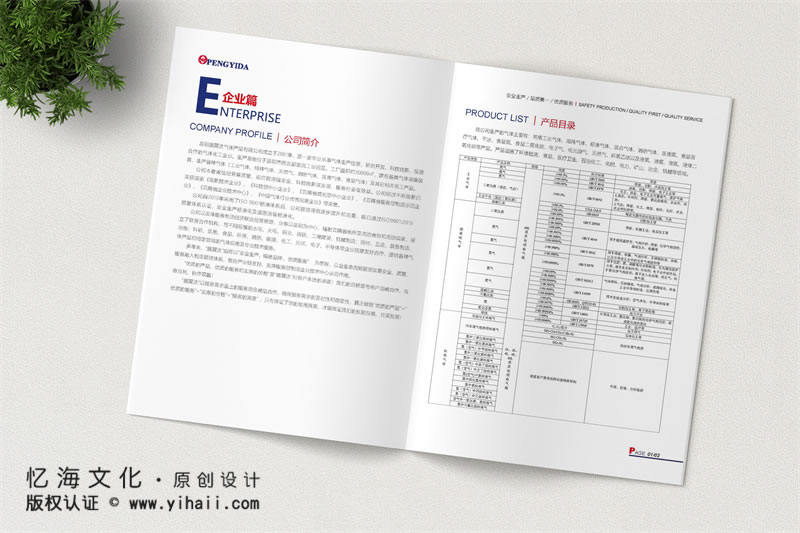 昆明憶海文化-公司宣傳畫冊設(shè)計制作-昆明工藝氣體畫冊定制