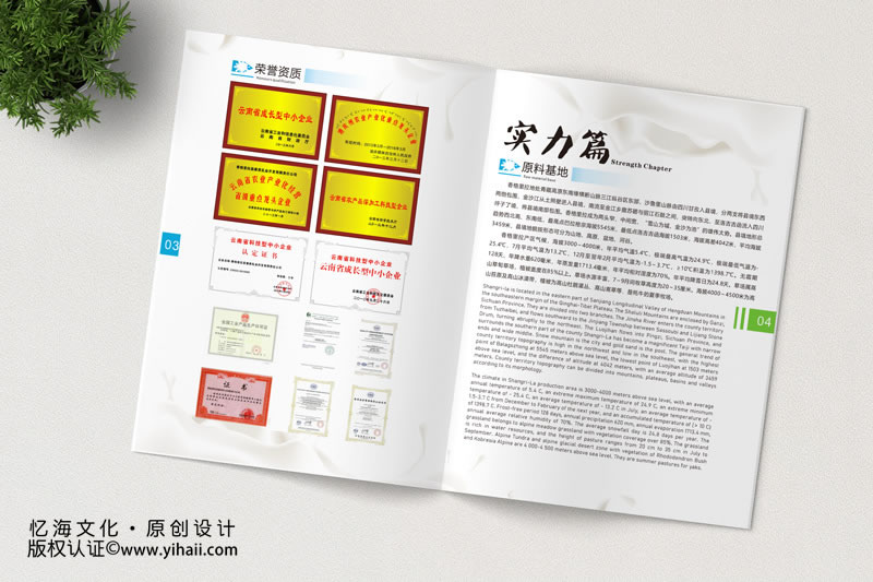 昆明憶海文化-牛乳畫冊設(shè)計