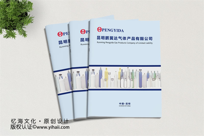 企業(yè)宣傳畫(huà)冊(cè)設(shè)計(jì)-昆明氣體公司畫(huà)冊(cè)制作
