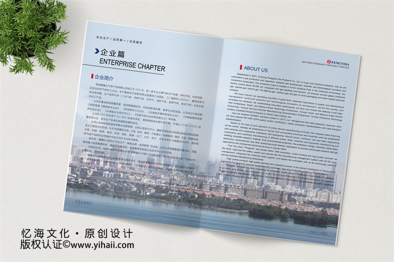 企業(yè)宣傳畫(huà)冊(cè)設(shè)計(jì)-昆明氣體公司畫(huà)冊(cè)制作