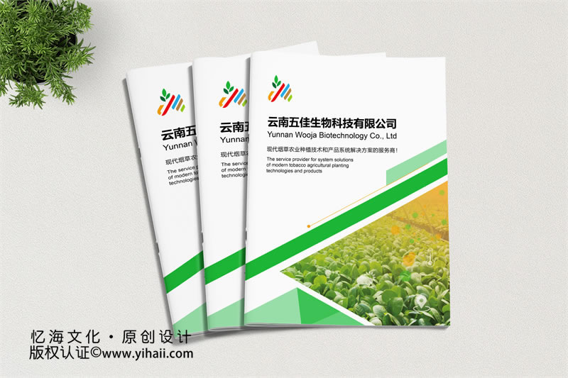 企業(yè)品牌宣傳畫冊定制設(shè)計：打造企業(yè)獨特的視覺形象