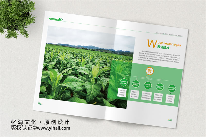 農(nóng)業(yè)畫冊設計定制
