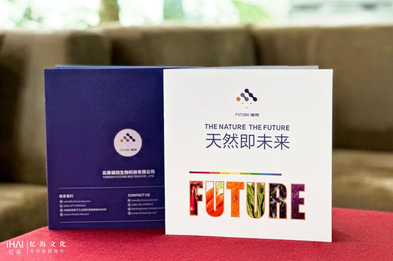企業(yè)宣傳畫(huà)冊(cè)設(shè)計(jì)制作