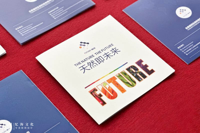 企業(yè)畫(huà)冊(cè)設(shè)計(jì)制作