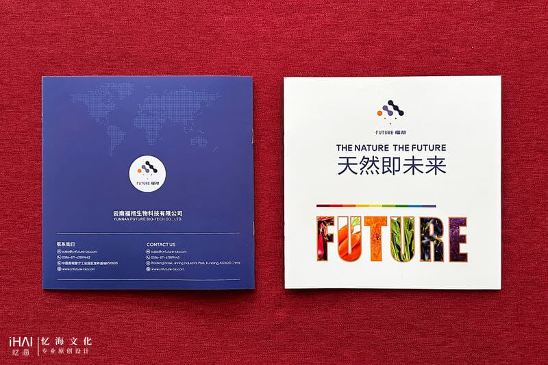 企業(yè)宣傳畫(huà)冊(cè)定制