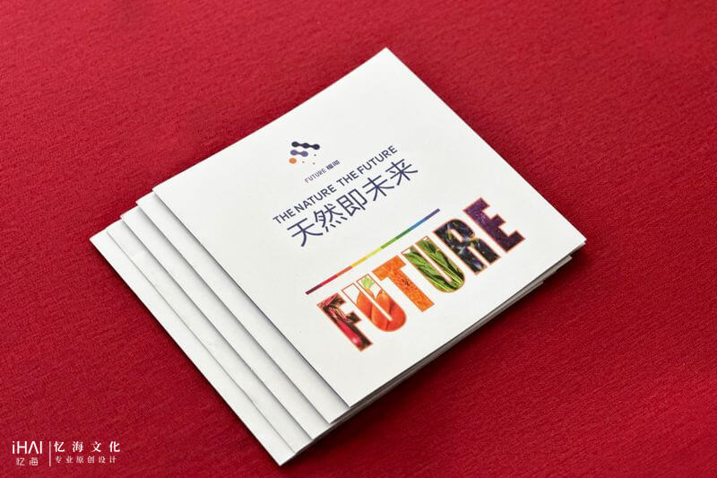 定制設(shè)計(jì)企業(yè)宣傳畫(huà)冊(cè)