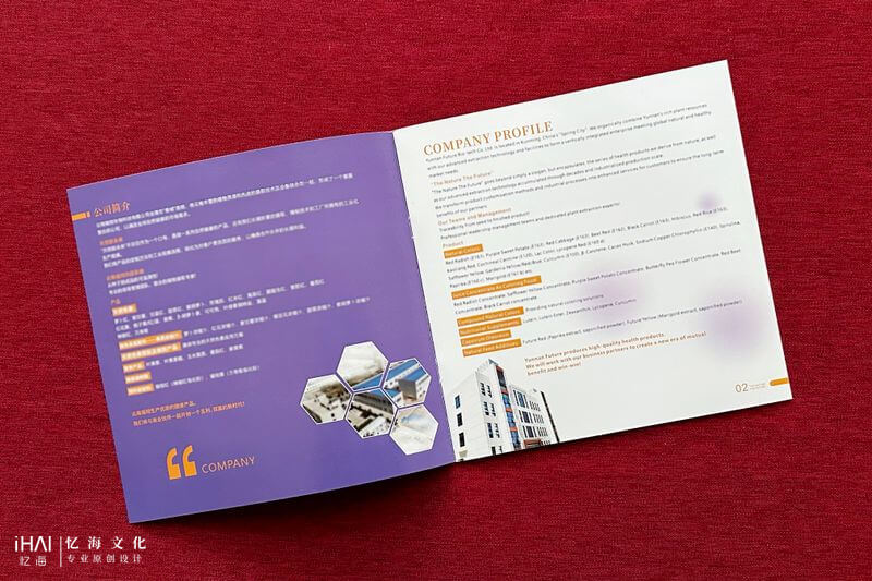 企業(yè)宣傳畫(huà)冊(cè)設(shè)計(jì)定制