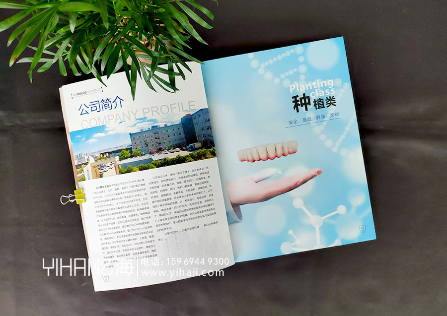【昆明典冠義齒技術(shù)有限公司】產(chǎn)品宣傳手冊(cè)