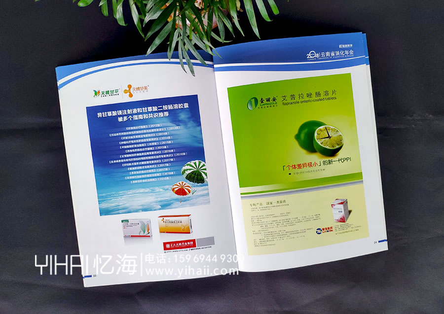 憶海文化云南省消化年會(huì)會(huì)議指南手冊(cè)設(shè)計(jì)